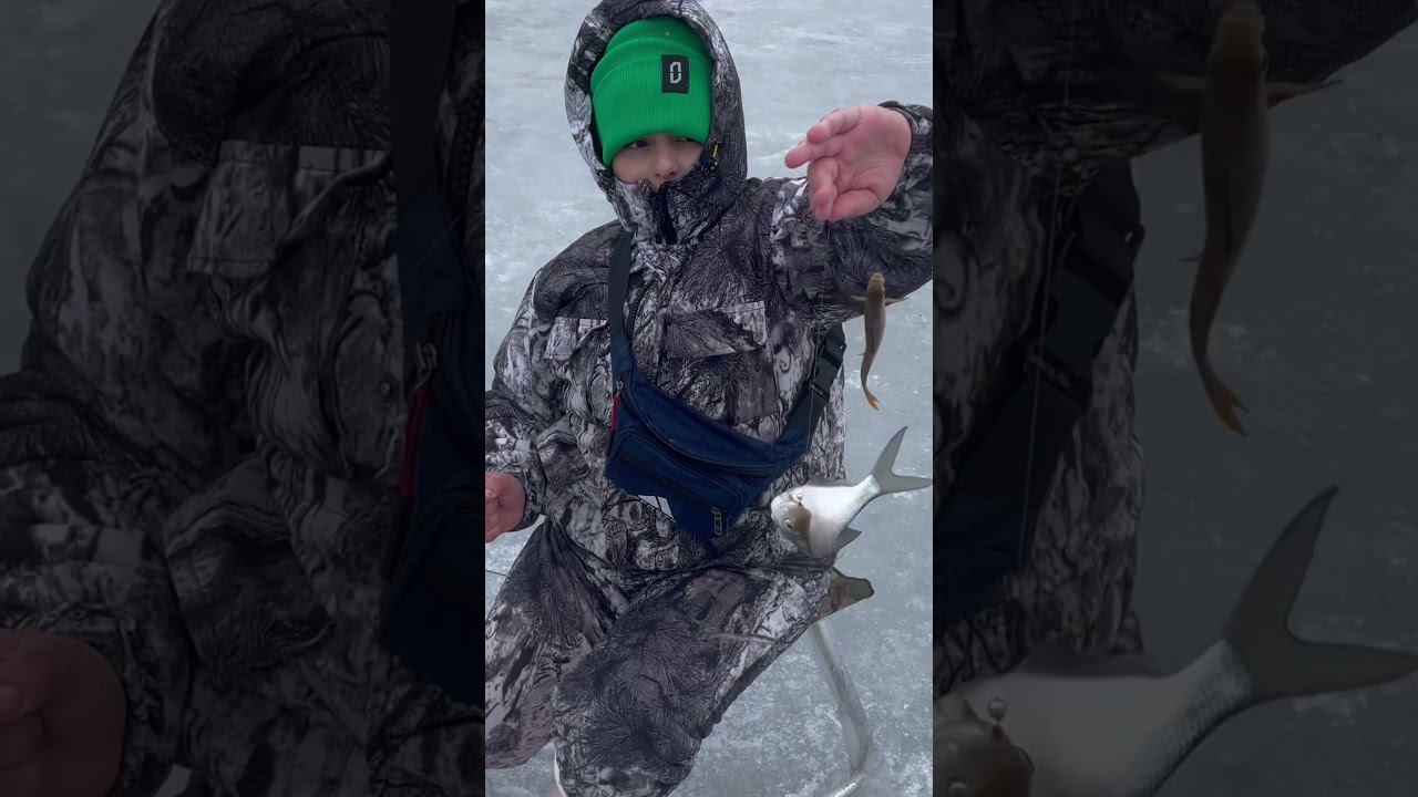 Вот это поклевка. Ребенок ловит #fishing #снежинск #рыба смотреть онлайн
