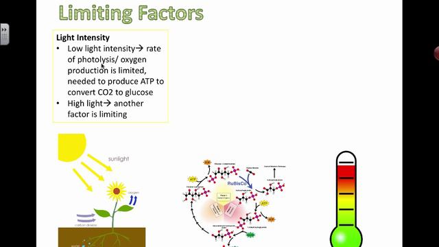 Controlling Limiting Factors (2016) IB Biology смотреть онлайн