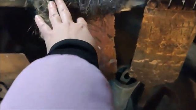 Музей крестьянского быта смотреть онлайн