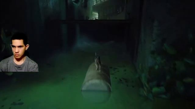 STRAY #4 - Трущобы: Часть 2. Тупик [Момо. Шеймус. Док] смотреть онлайн