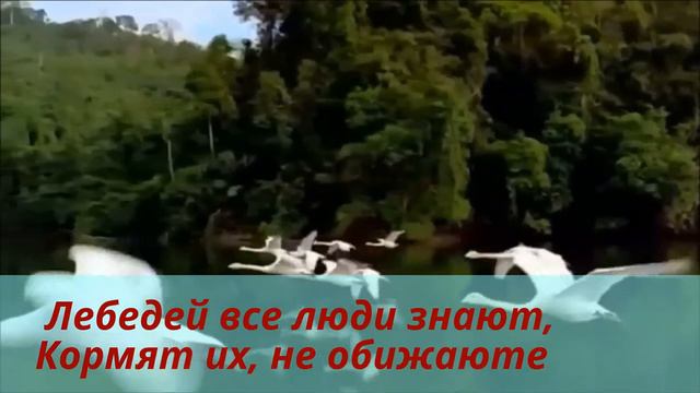 Лебединая песня смотреть онлайн