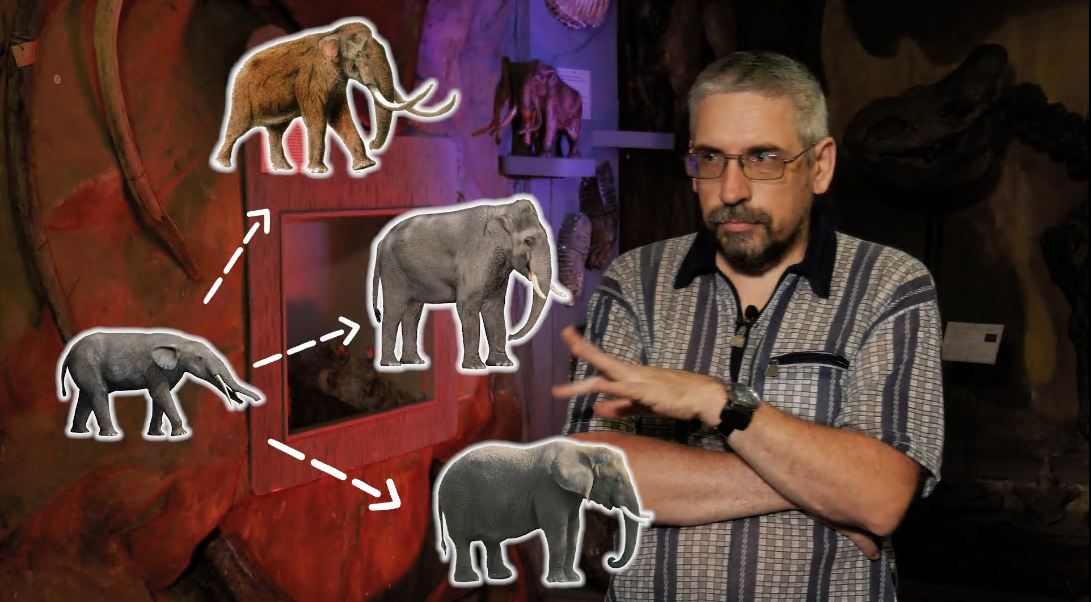 Кто виноват в исчезновении мамонтов и можно ли их возродить? Спроси ученого