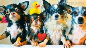 Эдит для Anny Magic❤️