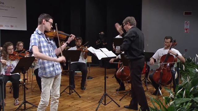 IL PICCOLO VIOLINO MAGICO - Traelnes Arthur смотреть онлайн