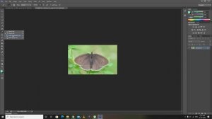 Photoshop Tutorial #9:how to use the brush tool and color replacement tool and mixer brush tool