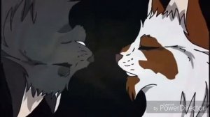 [Коты-Воители] Остролистая/Black Widow