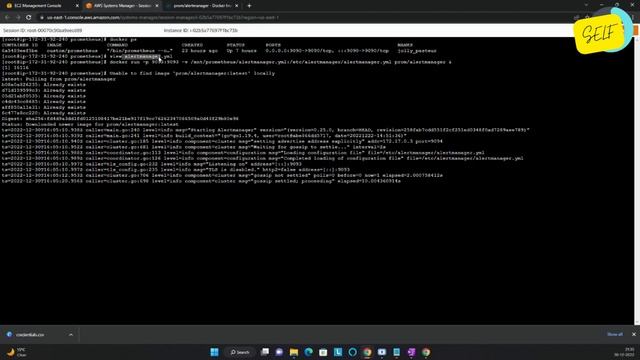 Run Alertmanager as Docker container смотреть онлайн