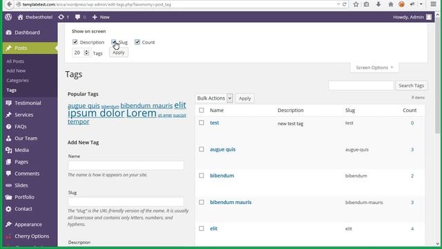 WordPress. How To Manage Post Tags смотреть онлайн