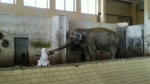 Преголя и снеговик смотреть онлайн