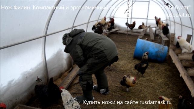 Нож Филин. Компактный и эргономичный охотничий нож. смотреть онлайн