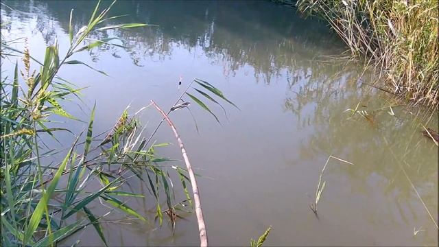 Рыбалка в Дагестане на каналах. смотреть онлайн