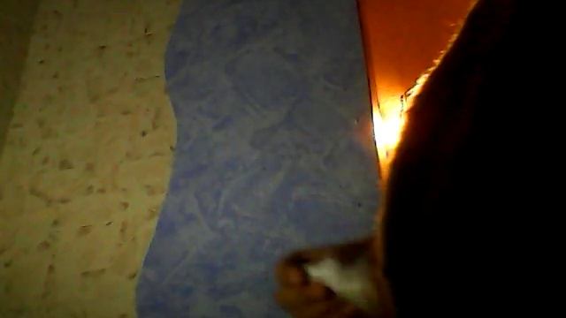 Как вырастить из косточки лемоновае дерево дома смотреть онлайн