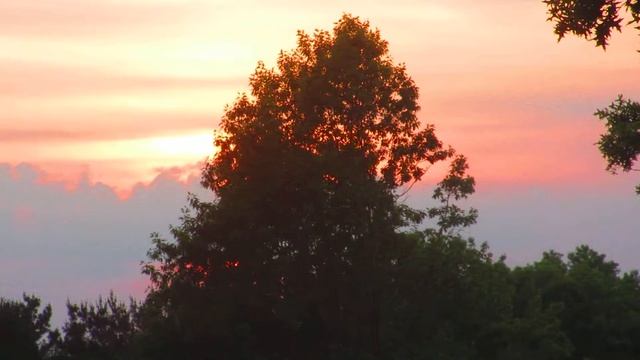 5/29 Sun gazing to White Tara Mantra смотреть онлайн