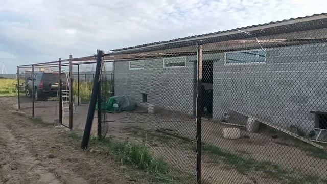 Ограждение курятника сеткой смотреть онлайн