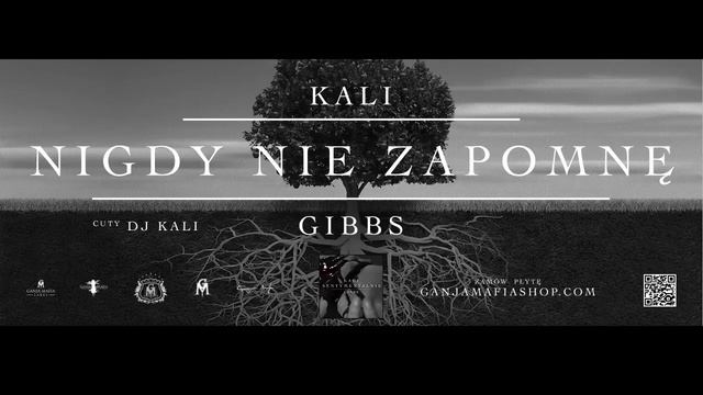 12. Kali Gibbs - Nigdy Nie Zapomnę cuty Dj Kali смотреть онлайн