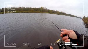 Утренний наноджиг с Crazy Fish Nano Zero Carbon