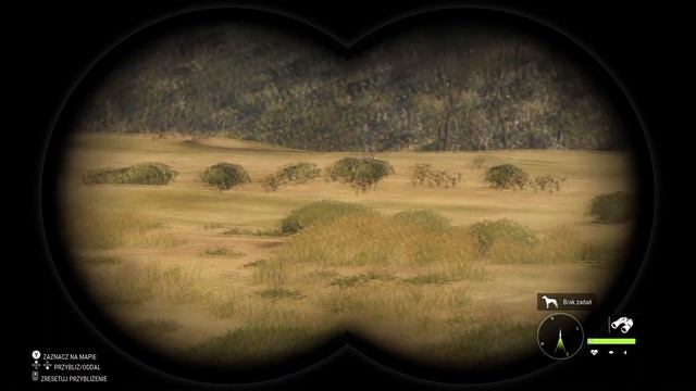 theHunter: Call of the Wild # (Nowa Mapa Australia) Dzika Koza z Ładną Brądą - Gameplay PL смотреть онлайн