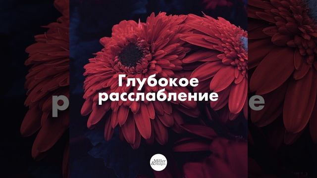 Техники медитации смотреть онлайн