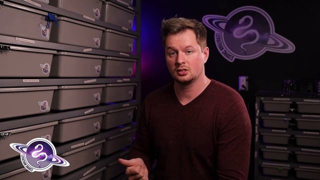 Ball Python Business | Why Do Ball Python Prices Crash and Skyrocket? смотреть онлайн