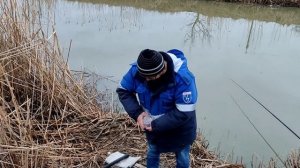 Рыбалка в Краснодарском крае в Темрюкском районе поселок Светлый путь. Поймал и отпустил.