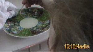 Как и чем кормить бабочку дома