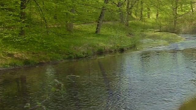 BEDŘICH SMETANA - VLTAVA смотреть онлайн