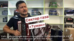 ТУМАН (Сектор газа) на гармошке. Мы пройдем опасный путь через туман! ?✊?