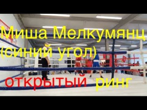 Бой ученика А.Фролова Михаила Мелкумянкца (синий угол) смотреть онлайн