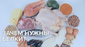 Зачем нужны белки? - Доктор 24