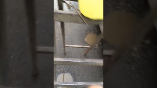 Чудо шланг для бензина смотреть онлайн