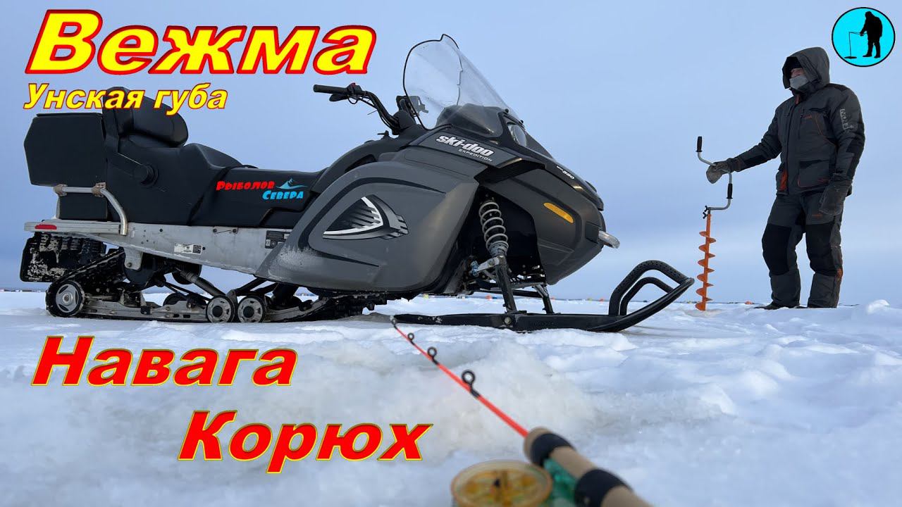 BRP SKI-DOO EXPEDITION SPORT, РЫБАЛКА НА БЕЛОМ МОРЕ. #навага #корюшка #Рыболов_Севера смотреть онлайн