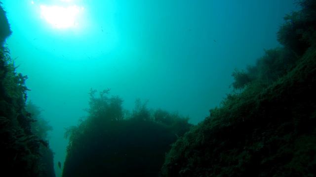 Жизнь глубины Черного моря. смотреть онлайн