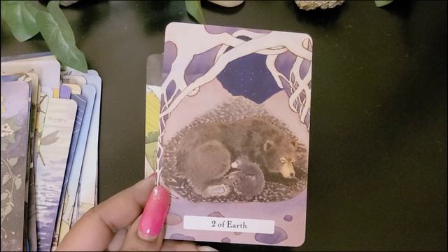 The Witches Wisdom Tarot - Unboxing & Review! смотреть онлайн
