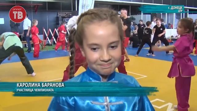 Чемпионат и Первенство по Ушу Саньда, а также Чемпионат и Первенство ДНР по Кунгфу Туйшоу смотреть онлайн