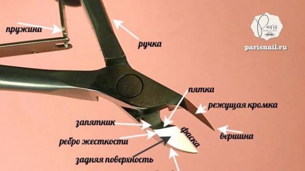 Кусачки для маникюра ?Как выбрать маникюрный инструмент ? ?Paris Nail