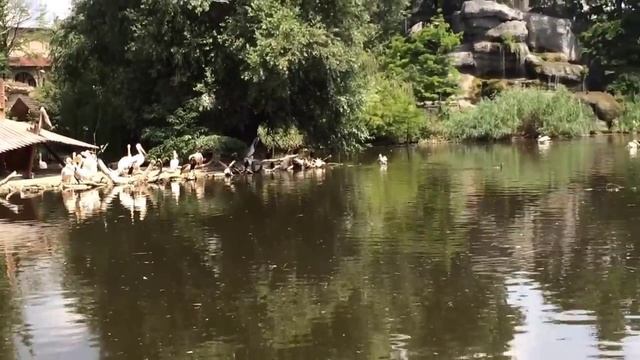 Fővárosi Növény és Állatkert, Budapest Zoo Deutsch, Budapest Zoo review смотреть онлайн