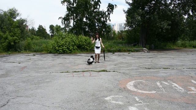 Сагачева Юлия и Кавалер Кинг Чарльз спаниель 
