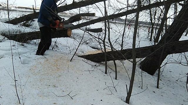 Сбор валежника в Подмосковье смотреть онлайн