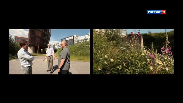 0286. НАУКА 2.0. ВОПРОС ВРЕМЕНИ - Ресурсы. Деревянное будущее смотреть онлайн