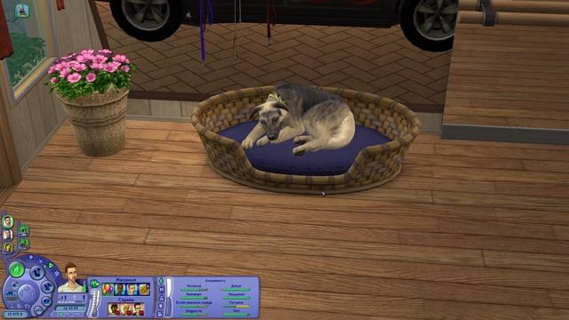 The Sims 2 | Пёс вонючка - #29 смотреть онлайн