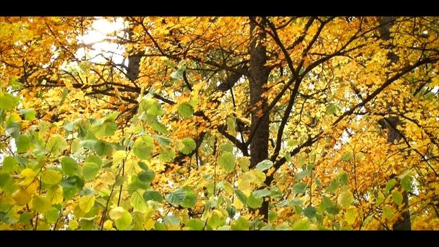 Осенняя фантазия смотреть онлайн