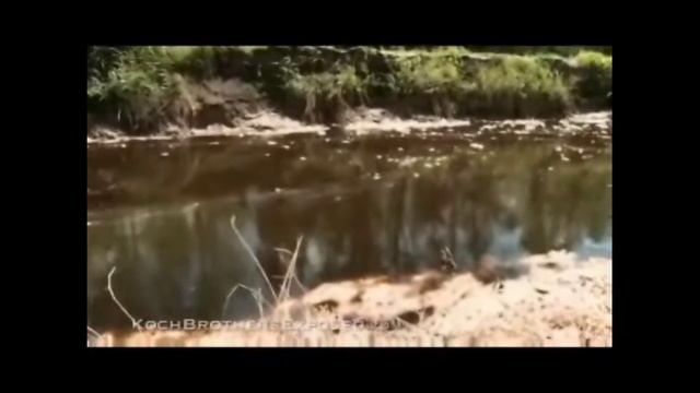 Koch Brothers Exposed for Cancer Causing Pollution смотреть онлайн