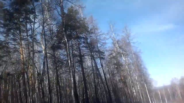 Завьялиха, зеленая трасса