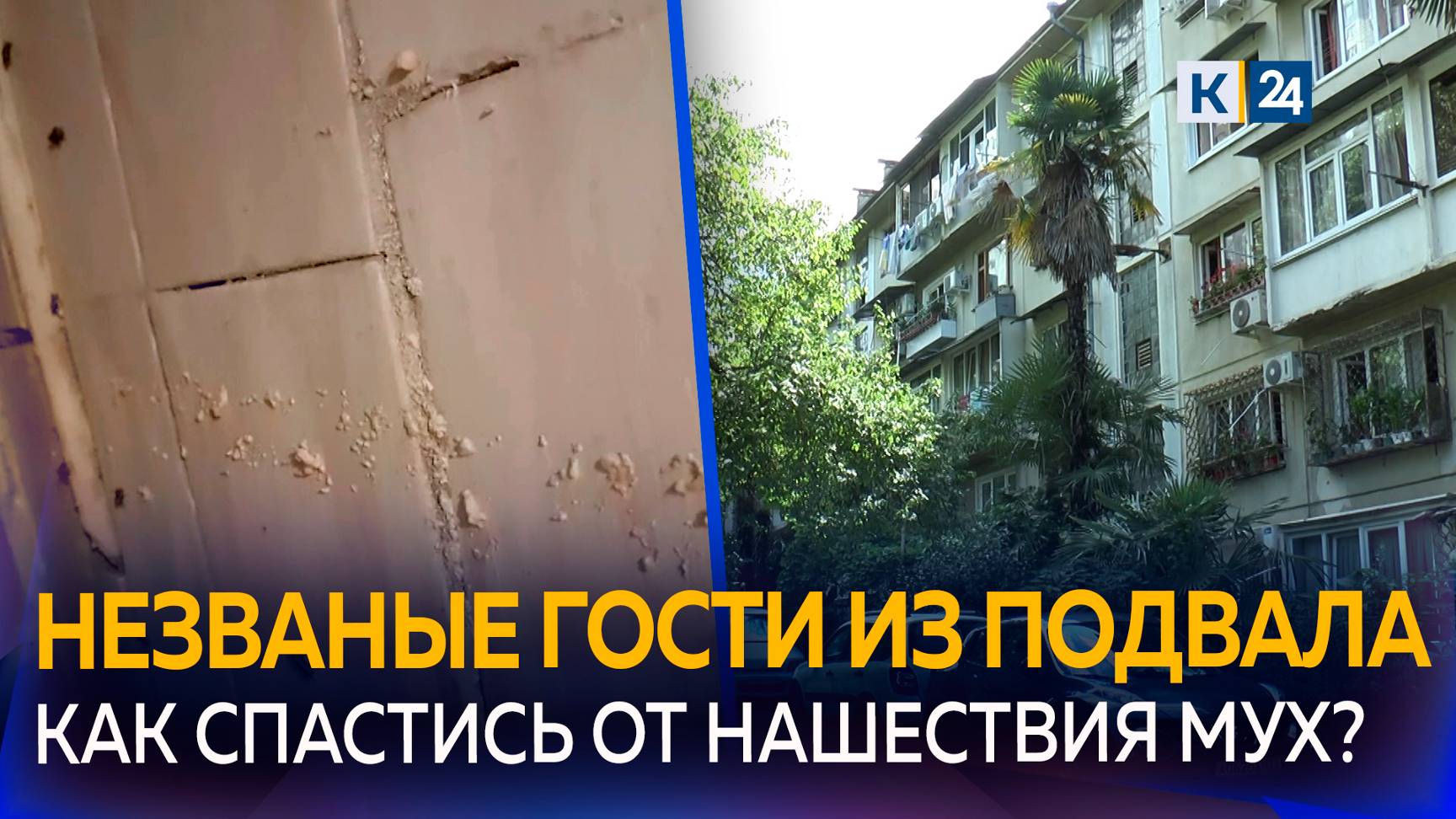В квартирах сочинцев поселились мухи из-за нечистот в подвале дома смотреть онлайн