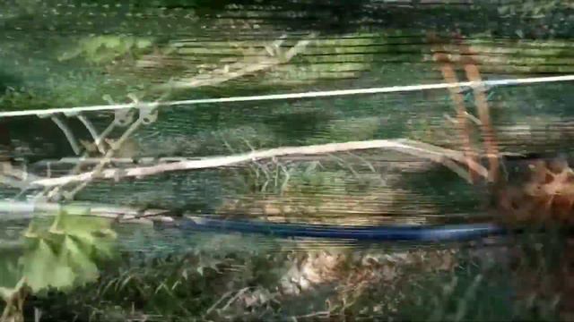 Виноградник. сезон 2018 года смотреть онлайн