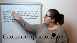 Сложные предложения
