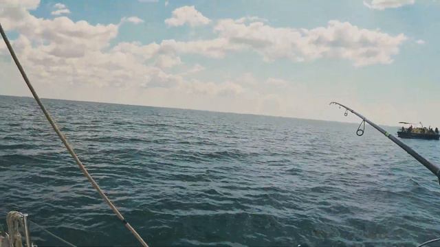 Рыбалка на яхте в Черном море. Ласкирь, окунь, ставрида, шашлык и дельфины смотреть онлайн