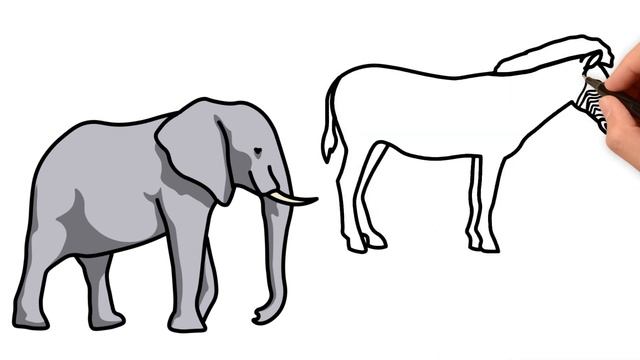 Elephant and Zebra Drawing, Painting and Coloring for Kids, Toddlers | How to Draw, Paint Basics смотреть онлайн