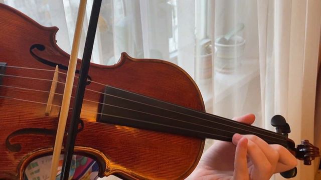 Скрипка Goronok Каприс 3/4