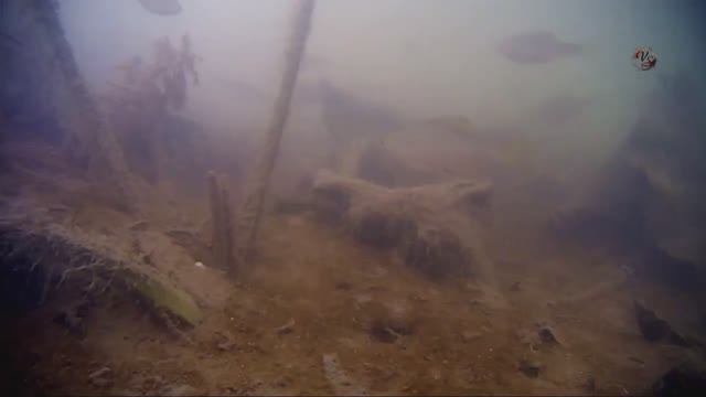 2.Рыбалка на маленькой Речке, Съёмка над и под водой. Ловля плотвы, ельца, уклейки, окуня, карася смотреть онлайн